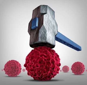 shutterstock_362934581